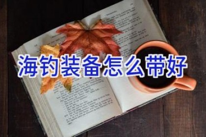 海钓装备怎么带好