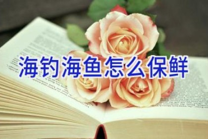 海钓海鱼怎么保鲜