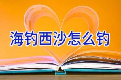 海钓西沙怎么钓