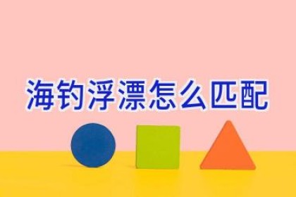 海钓浮漂怎么匹配