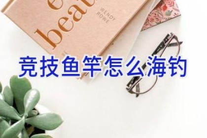 竞技鱼竿怎么海钓