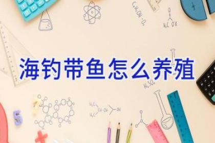 海钓带鱼怎么养殖
