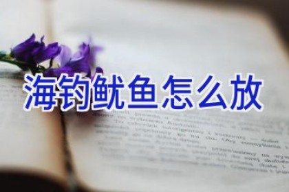 海钓鱿鱼怎么放