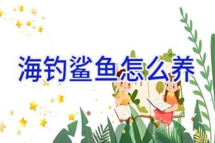 海钓鲨鱼怎么养