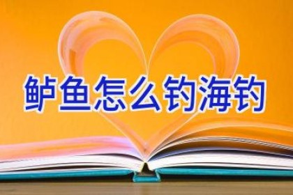 鲈鱼怎么钓 海钓