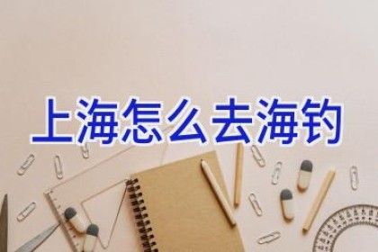 上海怎么去海钓