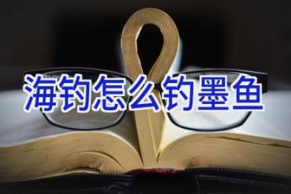 海钓怎么钓墨鱼