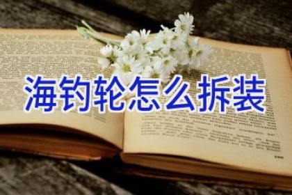 海钓轮怎么拆装