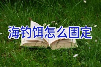 海钓饵怎么固定