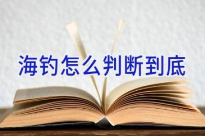 海钓怎么判断到底