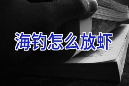 海钓怎么放虾