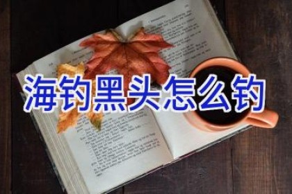 海钓黑头怎么钓