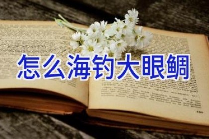 怎么海钓大眼鲷