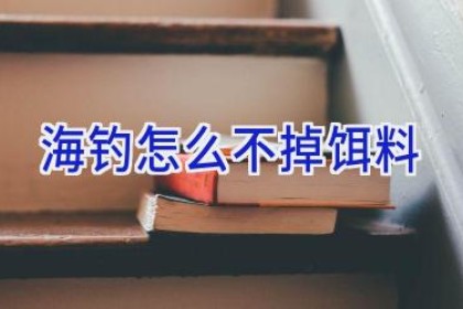 海钓怎么不掉饵料
