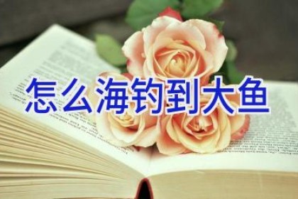 怎么海钓到大鱼