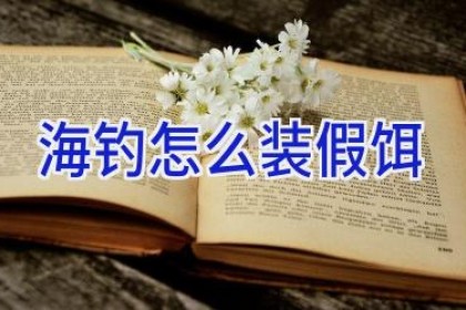 海钓怎么装假饵