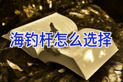 海钓杆怎么选择