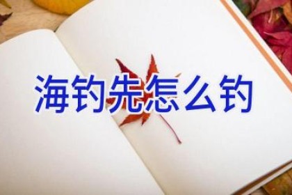海钓先怎么钓