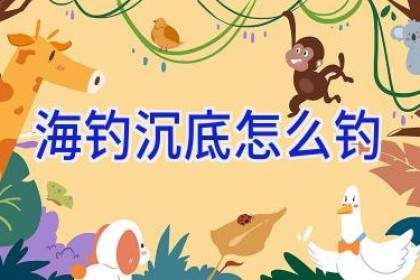 海钓沉底怎么钓