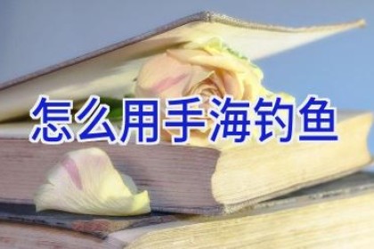 怎么用手海钓鱼