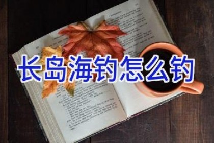 长岛海钓怎么钓