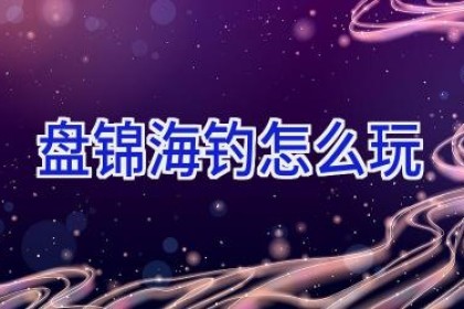 盘锦海钓怎么玩