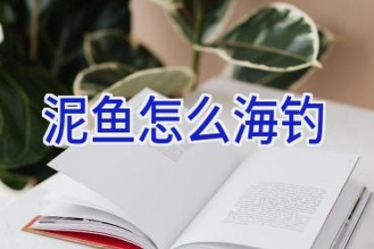 泥鱼怎么海钓