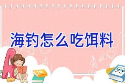 海钓怎么吃饵料