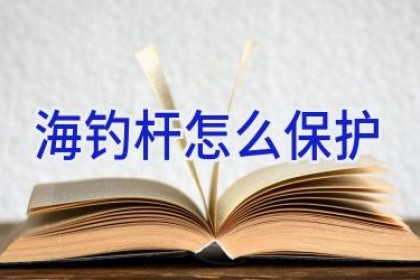 海钓杆怎么保护