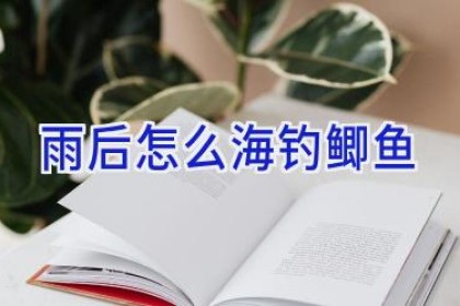 雨后怎么海钓鲫鱼