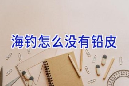 海钓怎么没有铅皮