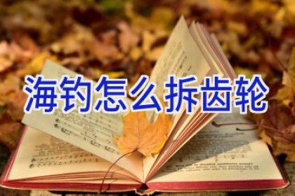 海钓怎么拆齿轮