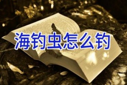 海钓虫怎么钓