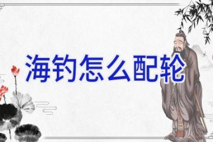 海钓怎么配轮