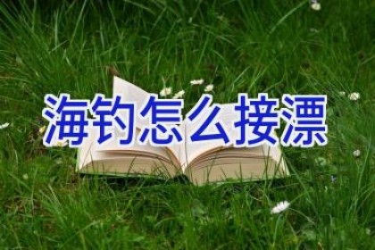 海钓怎么接漂