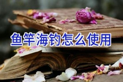 鱼竿海钓怎么使用