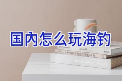 国内怎么玩海钓