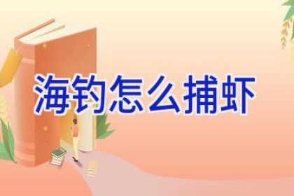 海钓怎么捕虾