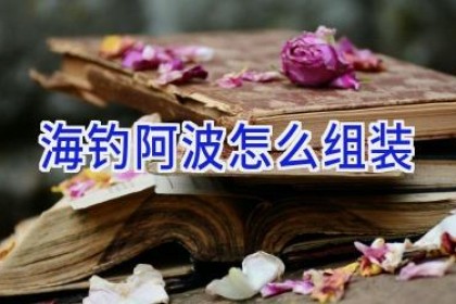 海钓阿波怎么组装