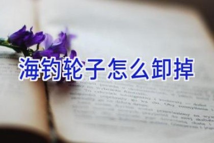 海钓轮子怎么卸掉