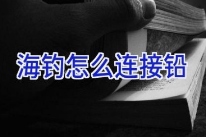 海钓怎么连接铅