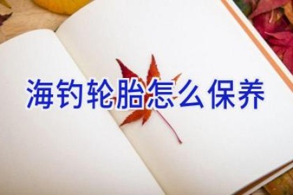 海钓轮胎怎么保养