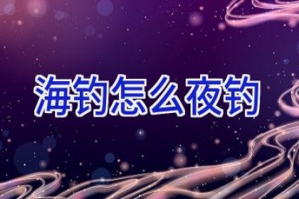 海钓怎么夜钓
