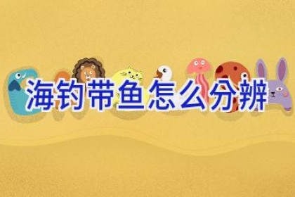 海钓带鱼怎么分辨