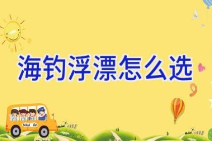 海钓浮漂怎么选