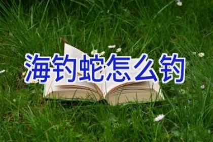海钓蛇怎么钓