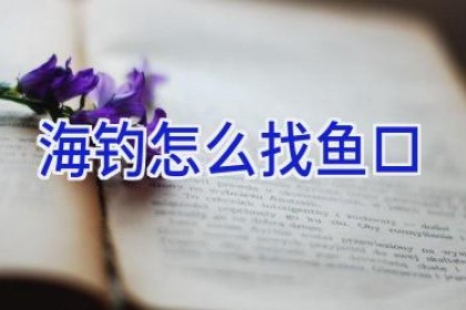 海钓怎么找鱼口