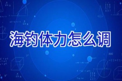 海钓体力怎么调