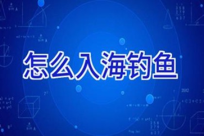怎么入海钓鱼