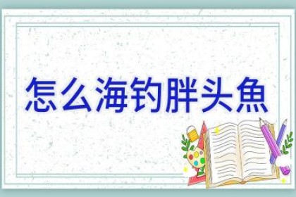 怎么海钓胖头魚